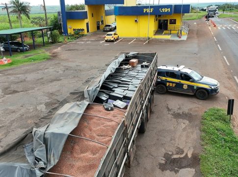 PRF apreende 6,3 toneladas de maconha e quatro fuzis na BR-163 em Naviraí (MS)