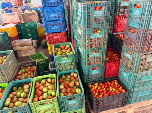 Alface, cebola e tomate ficam mais caros na Ceasa-MS; cenoura cai 11%