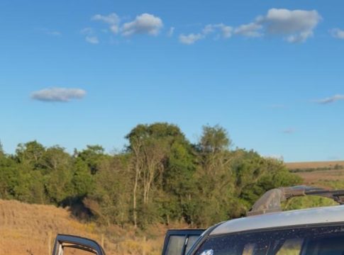 Ambiental de Mundo Novo apreende armas e animal abatido