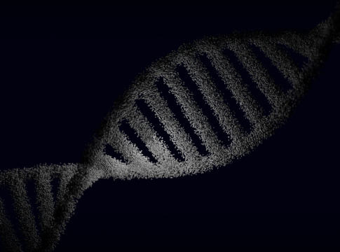 Japão analisa o DNA humano e revela pista sobre como sobrevivemos à Era do Gelo