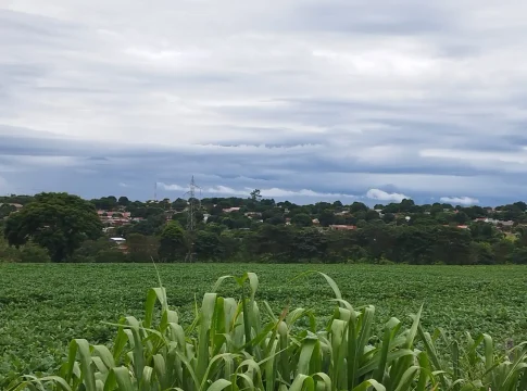 Fim de semana de eleições será de chuva em grande parte do país